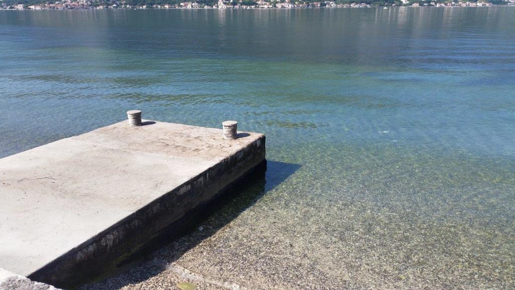Villa Branka Kotor Eksteriør billede